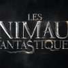 les animaux fantastiques